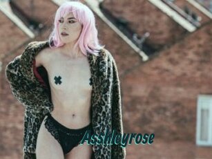 Asshleyrose