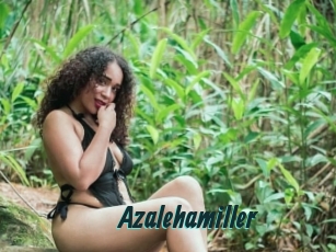 Azalehamiller