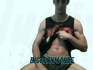 BIGCOCK_MAGEE