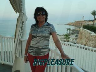 BIGPLEASURE