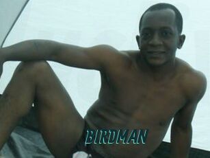 BIRDMAN Lucy Live