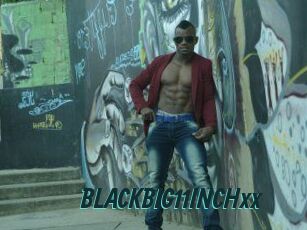 BLACKBIG11INCHxx