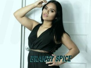 BRANDY_SPICE
