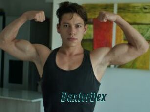 BaxterDex