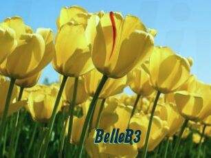 BelleB3