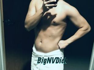 BigNVDick