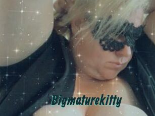 Bigmaturekitty
