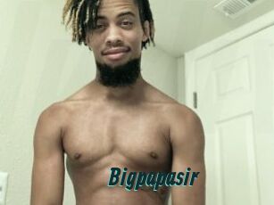 Bigpapasir