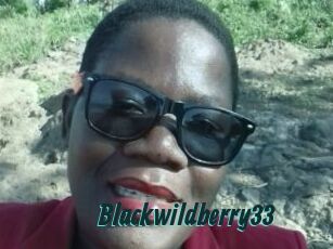 Blackwildberry33