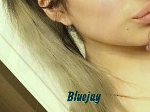Blue_jay