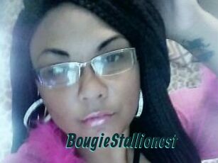 BougieStallionest