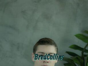 BredCollins