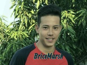 BriceMarsh