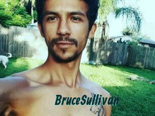 Bruce_Sullivan