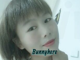 Bunnyhere