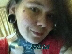 Buzz_Cat