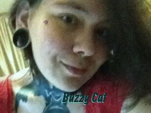 Buzzy_Cat