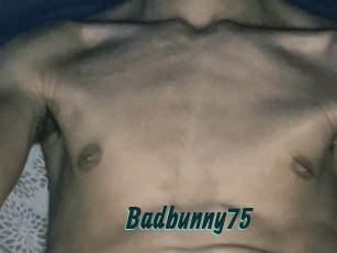 Badbunny75