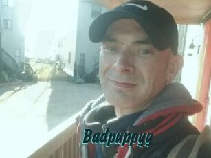 Badpuppyy