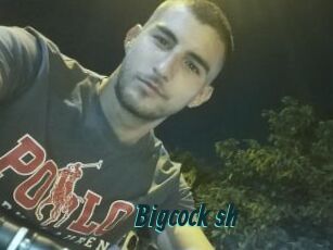 Bigcock_sh