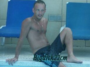 Bigdick22cm
