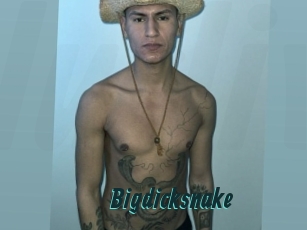 Bigdicksnake