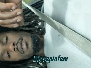 Bigsapiofam