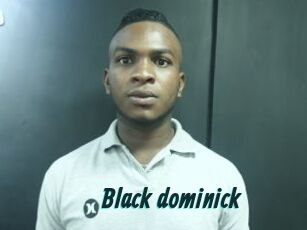 Black_dominick