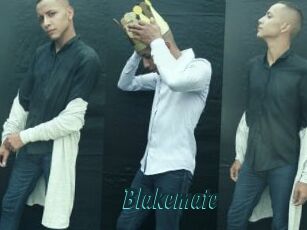 Blakemate