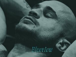 Blueview