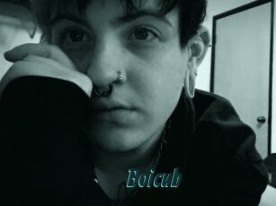 Boicub