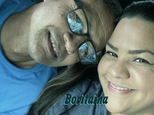 Boritaina
