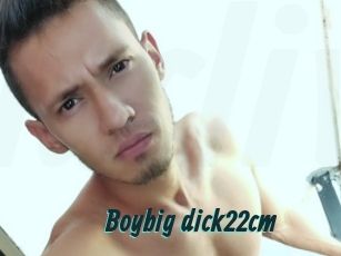 Boybig_dick22cm
