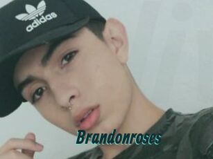 brandonroses Lucy Live