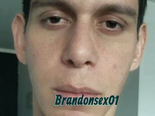 Brandonsex01