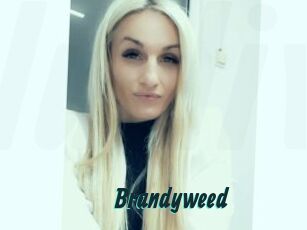 Brandyweed