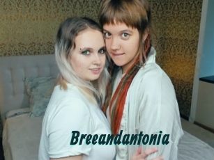 Breeandantonia