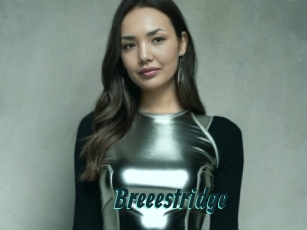 Breeestridge