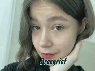 Breegrief