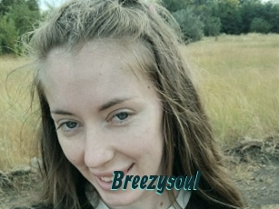Breezysoul