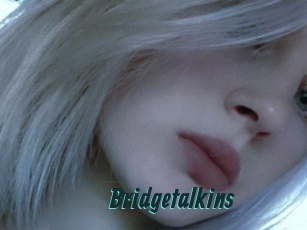 Bridgetalkins