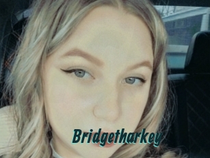 Bridgetharkey