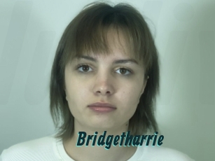 Bridgetharrie