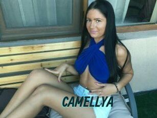 CAMELLYA_