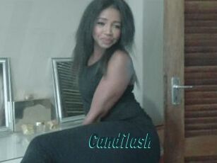 Candilash