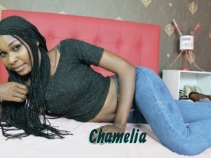 Chamelia