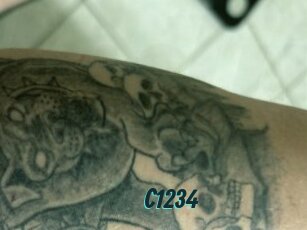 C1234