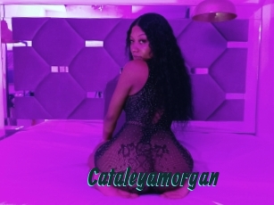 Cataleyamorgan