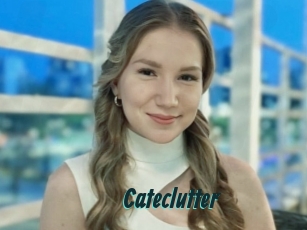 Cateclutter