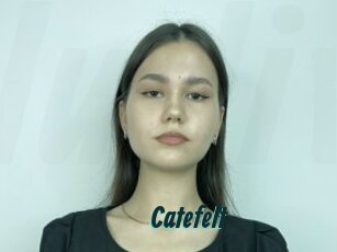 Catefelt